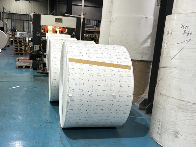 Rollo De Papel Recubierto De PE Blanco