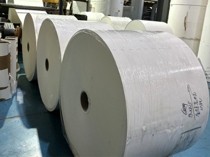Rollo De Papel Recubierto De PE Blanco